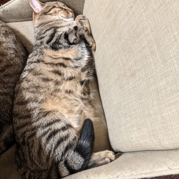 NOT FOR SALE - Picture 12 of 12